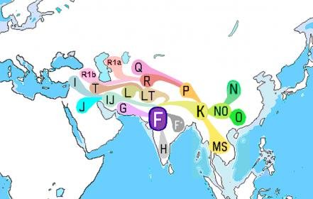 Haplogroup_F_(Y-DNA).jpg