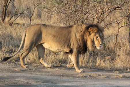 South Africa & India 2015 466.jpg
