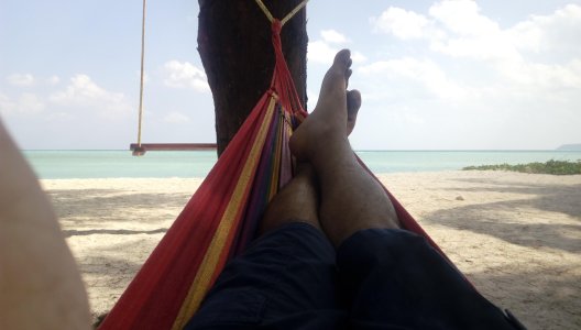 IMAG0348.jpg