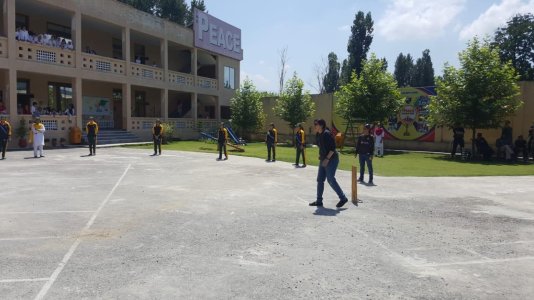 pcb 2.jpg