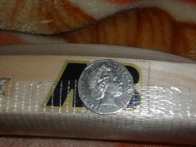SAM_0978.JPG