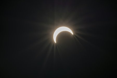 54e48e65df124c0c97bfbd5c75df9703_8.jpg