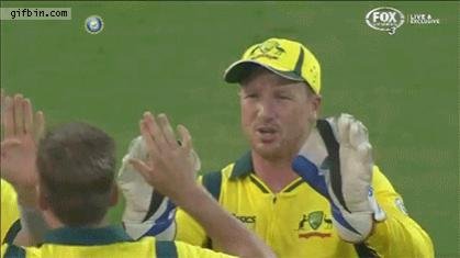 haddin.jpg