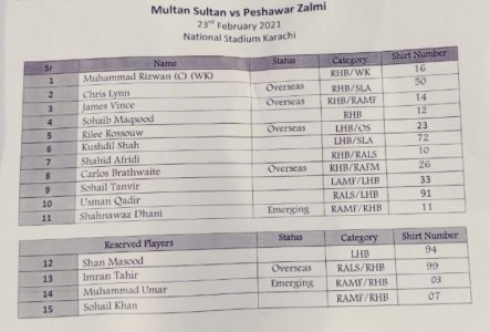 amir2.jpg