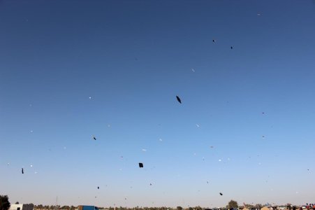 2e272969-9b16-4552-8346-67e9566fccc6.jpg