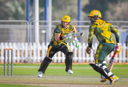 894a8539-b746-465c-a8a6-514e99bf63ba.jpg 894a8539-b746-465c-a8a6-514e99bf63ba.jpg