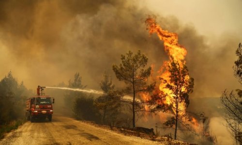 turkey wildfire.jpg