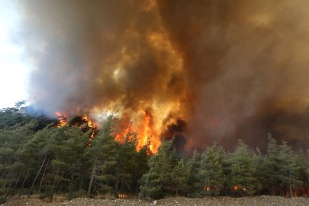 turkey fire.jpg