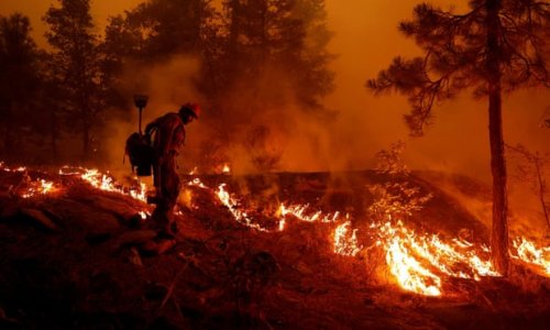 California blaze.jpg