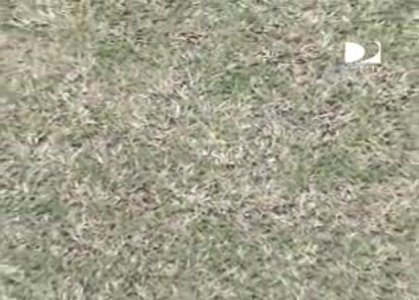Pitch 2.JPG