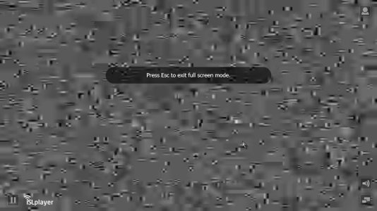 1111.jpg