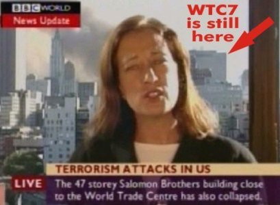 WT7.jpg