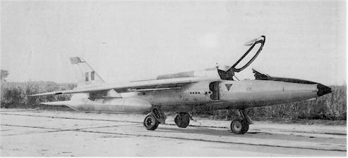 001capgnat2.jpg