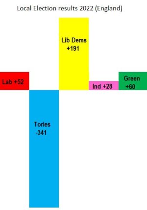 Local elections.jpg