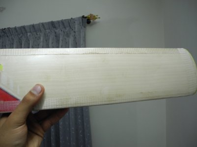 DSCN7761.JPG