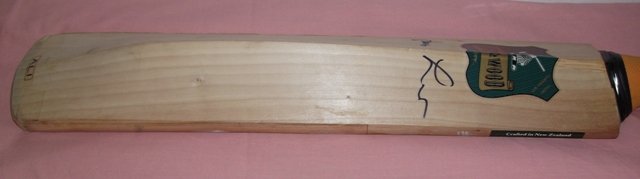 DSCF0094.JPG
