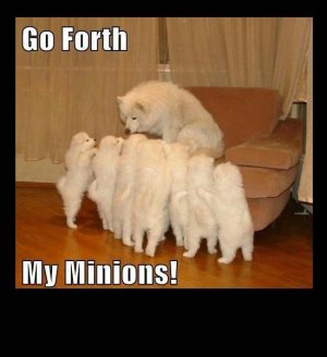 go-forth-minions.jpg