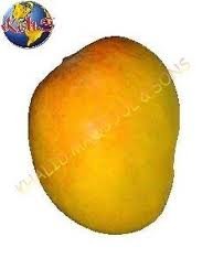 imagesCAYG436J.jpg