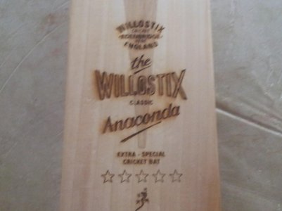 willostix bat (5).jpg
