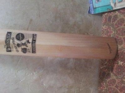 willostix bat (1).jpg