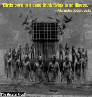 FREE YOUR MIND!!!!!!.jpg
