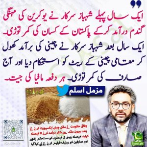 FB_IMG_1741692322950.jpg