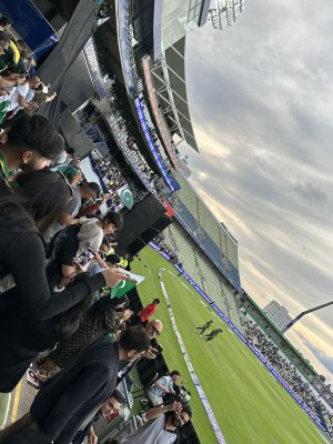 IMG_0974.jpeg