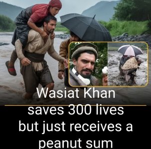 1756223480293.jpg