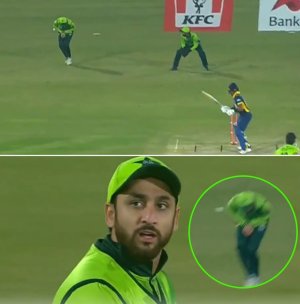 1762871384462.jpg 1762871384462.jpg