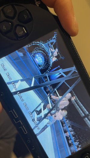 IMG_2915.jpeg IMG_2915.jpeg