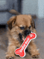 grok-video-9634f7e3-c974-498f-9502-40b87c247da6-3-ezgif.com-optimize (1).gif