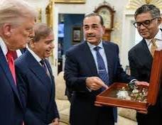 1767379075953.jpeg 1767379075953.jpeg