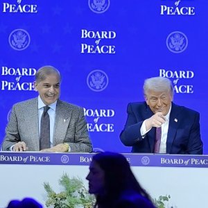 IMG_6415.jpeg IMG_6415.jpeg