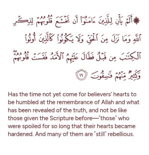 IMG_6918.jpeg IMG_6918.jpeg