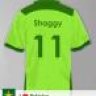 Shaggy_husla