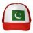 cricguru