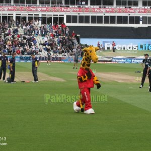 2013 Friends Life T20 Finals Day