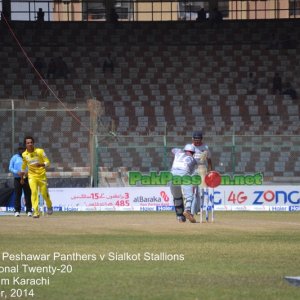 Haier Cup -  1st Semi Final - Peshawar Panthers v Sialkot Stallions