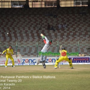 Haier Cup -  1st Semi Final - Peshawar Panthers v Sialkot Stallions