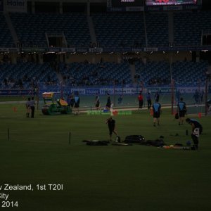 Pak v NZ - 1st T20