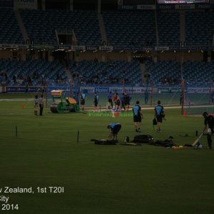 Pak v NZ - 1st T20