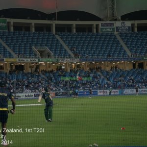 Pak v NZ - 1st T20