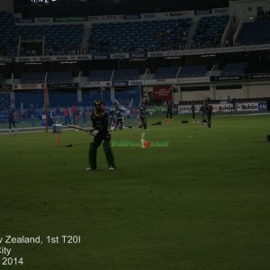 Pak v NZ - 1st T20