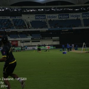 Pakistan v New Zealand | 1st T20I | Dubai