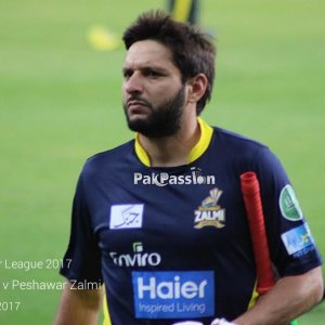 afridi9