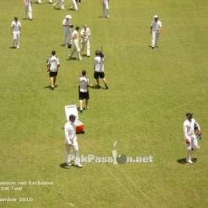 1st Ashes Test at Brisbane