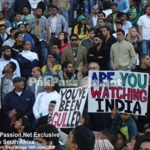 Pakistani supporters in full flow at Trent Bridge