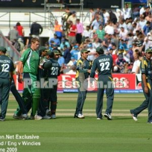 Pakistani players congratulate one another on victory against Ireland
