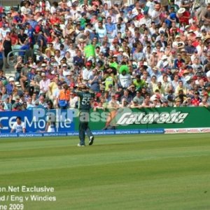 Pakistan fielding at The Oval