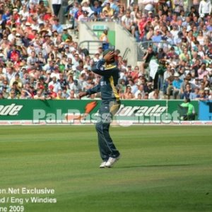 Pakistan fielding at The Oval